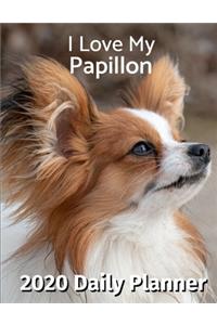 I Love My Papillon