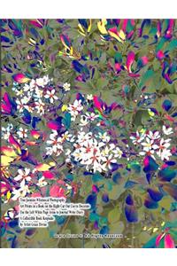 True Jasmine Whimsical Photography Art Prints in a Book