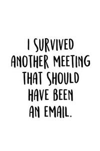 I Survived Another Meeting That Should Have Been An Email.