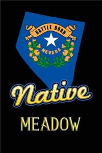Nevada Native Meadow
