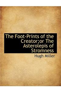 The Foot-Prints of the Creator;or the Asterolepis of Stromness
