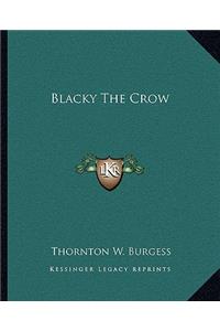 Blacky The Crow