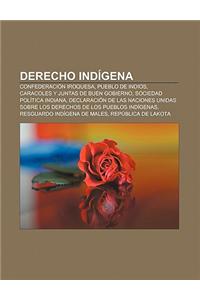 Derecho Indigena: Confederacion Iroquesa, Pueblo de Indios, Caracoles y Juntas de Buen Gobierno, Sociedad Politica Indiana