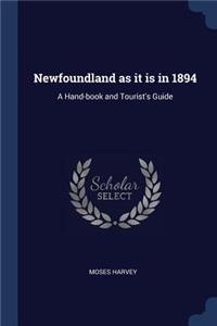 Newfoundland as It Is in 1894