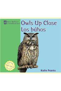 Owls Up Close / Los Buhos