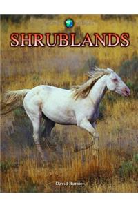 Shrublands