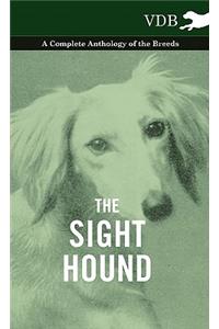 Sight Hound - A Complete Anthology of the Breeds
