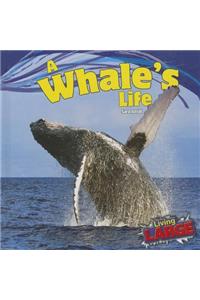 A Whale's Life