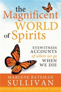 Magnificient World of Spirits