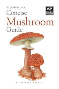 Concise Mushroom Guide