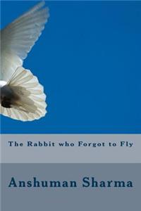 Rabbit who Forgot to Fly