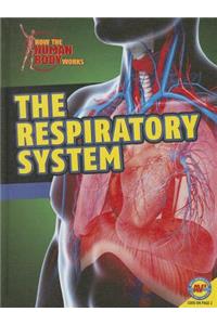 Respiratory System