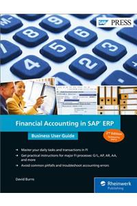 Financial Accounting in SAP Erp: Business User Guide