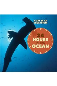 24 Hours in the Ocean