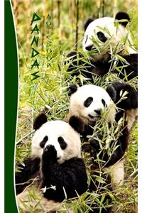 Pandas Notebook