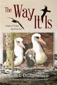 Way It Is: A Book of Fiction Based on Fact