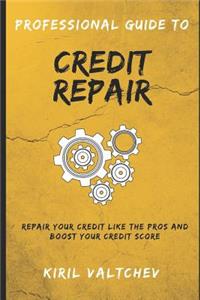 Professional Guide to Credit Repair