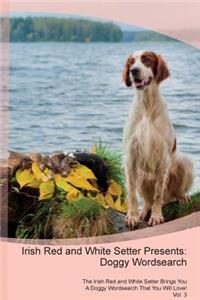 Irish Red and White Setter Presents