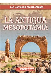 La Antigua Mesopotamia (Ancient Mesopotamia)