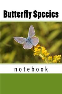 Butterfly Species