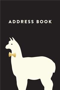 Address Book