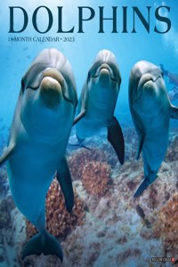 Dolphins 2023 Wall Calendar