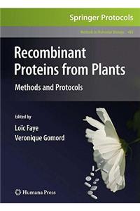 Recombinant Proteins from Plants