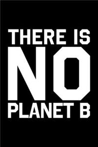 There Is No Planet B Save the World