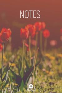 Notes