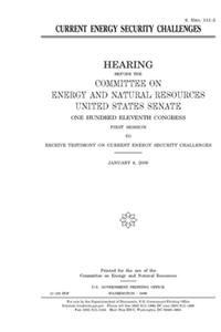 Current energy security challenges