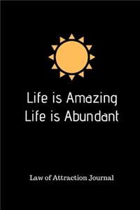 Life is Amazing Life is Abundant