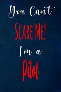 You Can't Scare Me! I'm A Pilot