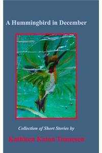 Hummingbird in December