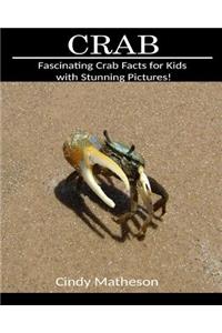 Crab: Fascinating Crab Facts for Kids with Stunning Pictures!
