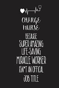 Charge Nurse Because Super Amazing Life-Saving Miracle Worker Isn't An Official Job Title