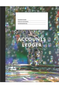 Accounts Ledger