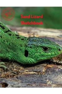 Sand Lizard Sketchbook
