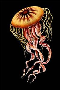 Jellyfish Sketchbook