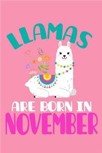 Llamas Are Born in November