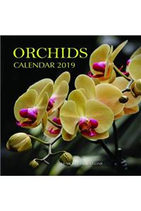 Orchids Calendar 2019
