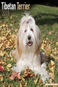 Tibetan Terrier Calendar 2019