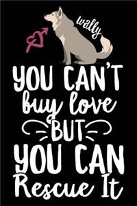 Wally You Can't Buy Love But You Can Rescue It