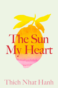 Sun My Heart