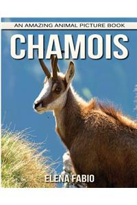 Children's Book: An Amazing Animal Picture Book about Chamois for Kids