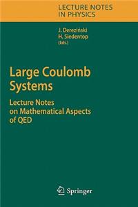 Large Coulomb Systems