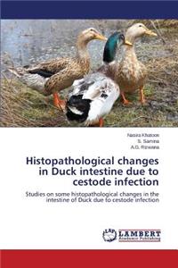 Histopathological changes in Duck intestine due to cestode infection