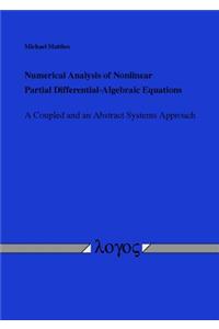 Numerical Analysis of Nonlinear Partial Differential-Algebraic Equations