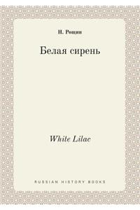White Lilac