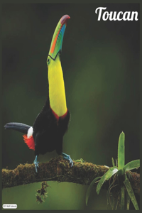 Toucan 2021 Wall Calendar