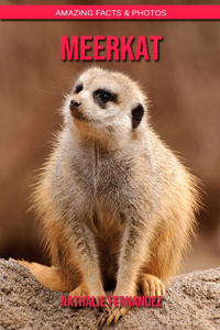 Meerkat